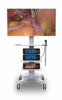 Cámara médica de la endoscopia 4k de la operación de la laparoscopia con la exhibición tocada 10,2 pulgadas