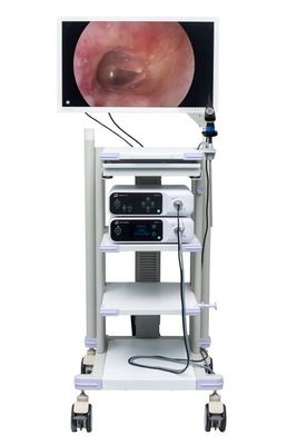Pantalla de visualización quirúrgica para la cámara del endoscopio monitor médico de la endoscopia de 27 pulgadas