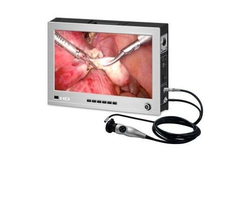 Todos en un sistema veterinario 1000TVL de la imagen del endoscopio