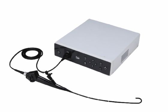 Bronchoscope video flexible del endoscopio de 6m m