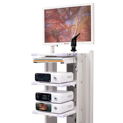 Ultra torre DJSXJ-IIb del sistema de la cámara del endoscopio 4K