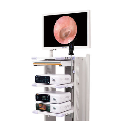 Cámara Laparoscopic médica llena del sistema 4k de la cámara del endoscopio de HD