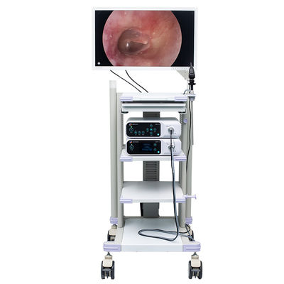 Torre médica DJSXJ-IIb del sistema de la cámara del endoscopio de UHD 4K