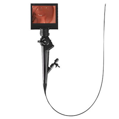 Endoscopio flexible y rígido DJV60900 de Videoscope portátil veterinario