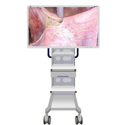 Cámara médica del monitor del endoscopio con la pantalla 55inch
