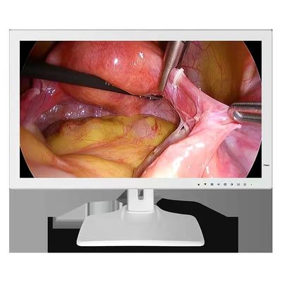 monitor médico 24inch del endoscopio de 1980x1200 RGBS