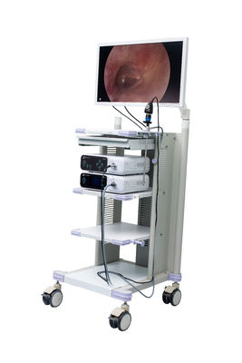 Cámara llena médica del endoscopio de HD para el Arthroscopy ENT quirúrgico de Hysteroscopy de ginecología de la laparoscopia