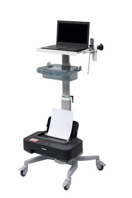 Sistema médico inalámbrico de la cámara del endoscopio de WiFi con la fuente de luz portátil para ENT